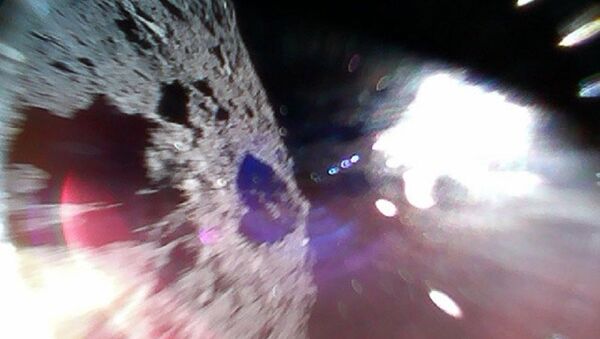 历史上首次公布小行星表面照片 - 俄罗斯卫星通讯社