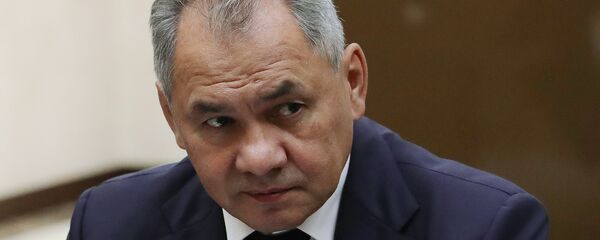 俄国防部长谢尔盖·绍伊古 - 俄罗斯卫星通讯社