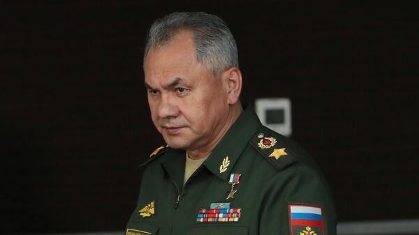 俄防长：俄将经常在地中海水域举行演习 - 俄罗斯卫星通讯社
