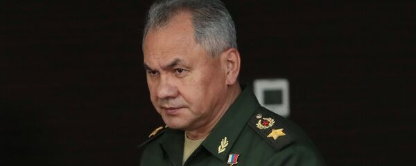 Министр обороны РФ Сергей Шойгу - 俄羅斯衛星通訊社