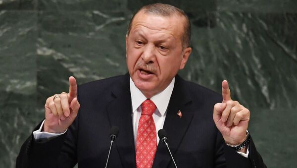 土耳其總統埃爾多安 - 俄羅斯衛星通訊社
