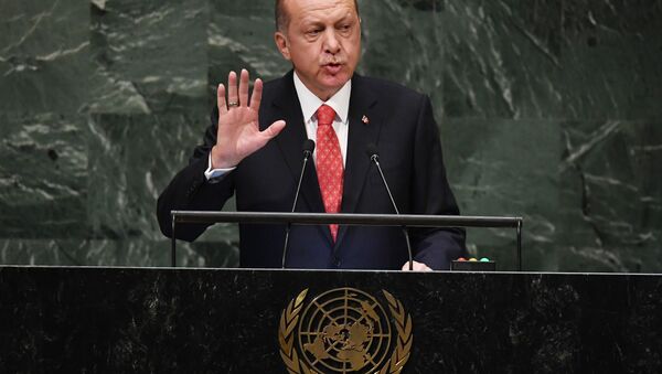 土耳其總統埃爾多安 - 俄羅斯衛星通訊社