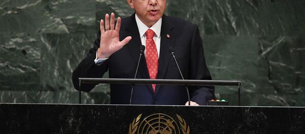 土耳其總統埃爾多安 - 俄羅斯衛星通訊社