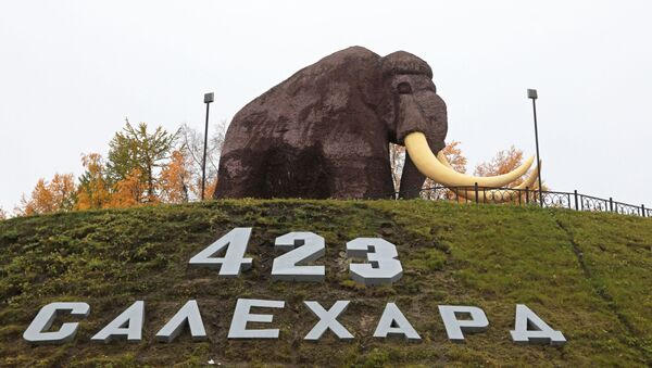 Памятник мамонту, установленный в честь юбилея города, в Салехарде - 俄罗斯卫星通讯社
