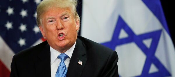 特朗普認為“兩國方案”是解決巴以問題的最好方案 - 俄羅斯衛星通訊社