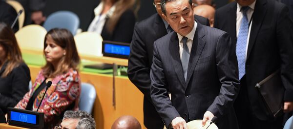 王毅外长 - 俄罗斯卫星通讯社