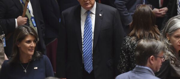 特朗普 - 俄罗斯卫星通讯社