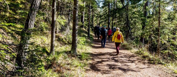 Туристы на острове Валаам Туристы на острове Валаам - 俄罗斯卫星通讯社