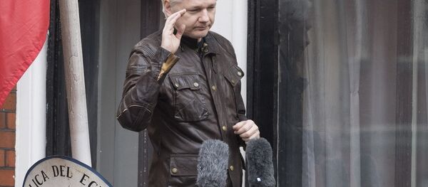 阿桑奇 - 俄羅斯衛星通訊社