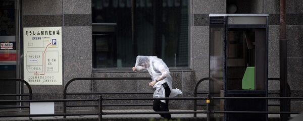 台风“范斯高”导致日本150余架航班被取消 - 俄罗斯卫星通讯社