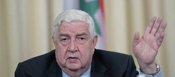 叙利亚外长瓦立德∙穆阿利姆 - 俄罗斯卫星通讯社