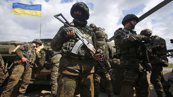 消息人士：欧盟希望将接受训练的乌克兰军人人数从1.5万人增加到3万人 - 俄罗斯卫星通讯社