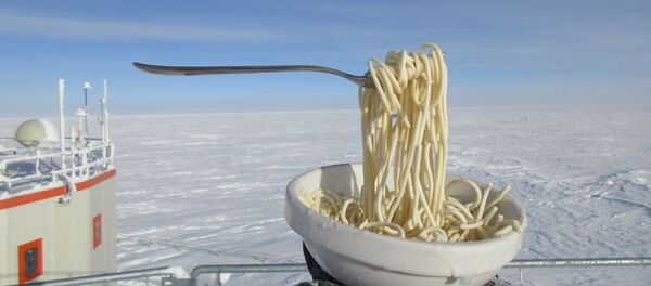 极地工作人员展示零下60度时面条是什么样 极地工作人员展示零下60度时面条是什么样 - 俄罗斯卫星通讯社