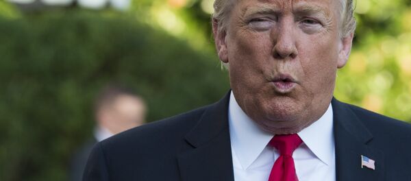 特朗普称其选举获胜对于俄罗斯来讲曾是最糟糕的事 - 俄罗斯卫星通讯社