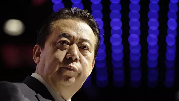 中國政府消息稱，國際刑警組織主席、中國公安部副部長孟宏偉涉嫌違法，目前正接受調查 - 俄羅斯衛星通訊社