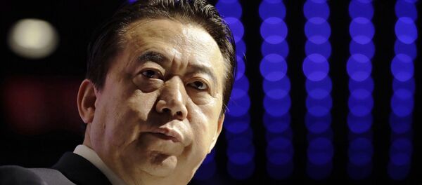 中国政府消息称，国际刑警组织主席、中国公安部副部长孟宏伟涉嫌违法，目前正接受调查 - 俄罗斯卫星通讯社