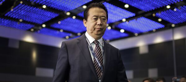 中国公安部表示，国际刑警组织前主席涉嫌受贿 - 俄罗斯卫星通讯社