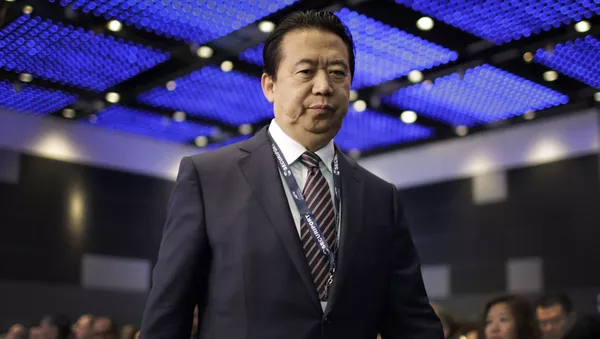 中國公安部表示，國際刑警組織前主席涉嫌受賄 - 俄羅斯衛星通訊社
