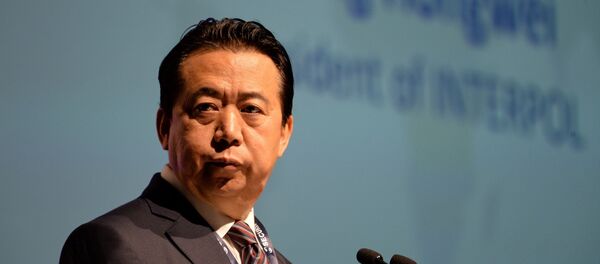 为何国际刑警组织主席辞职未出中国法律范围 - 俄罗斯卫星通讯社