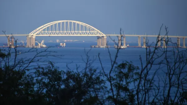 一度暫停的通過刻赤海峽的航運已恢復 - 俄羅斯衛星通訊社