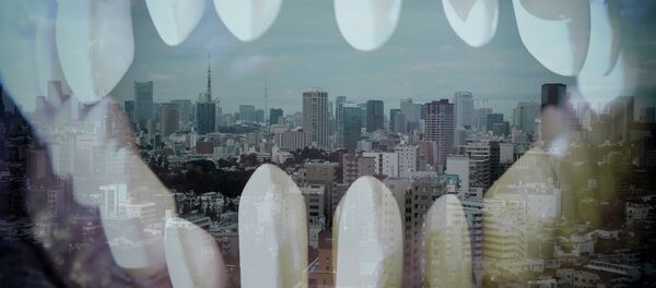 东京新开的Henna hoteru酒店提供恐龙机器人服务 - 俄罗斯卫星通讯社