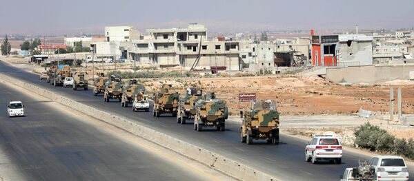 伊德利卜 - 俄罗斯卫星通讯社