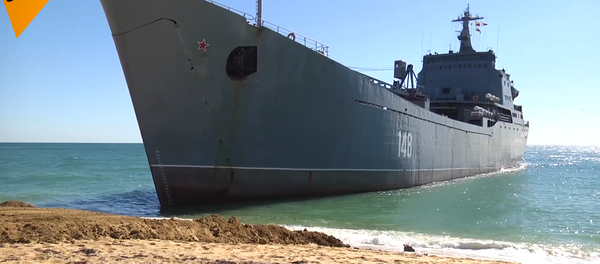 黑海舰队海军陆战队和海岸警卫队的双面演习 - 俄罗斯卫星通讯社