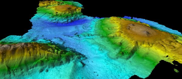 在太平洋海底发现“失落的世界” - 俄罗斯卫星通讯社