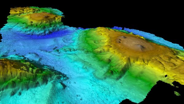 在太平洋海底發現“失落的世界” - 俄羅斯衛星通訊社