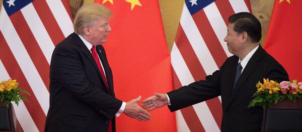 习近平同特朗普通电话 双方均表示愿在G20大阪峰会期间会晤 - 俄罗斯卫星通讯社