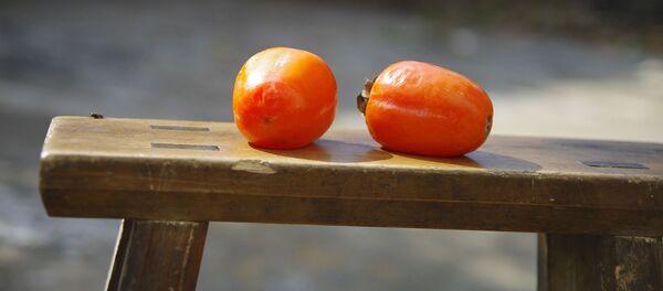 柿子 - 俄罗斯卫星通讯社