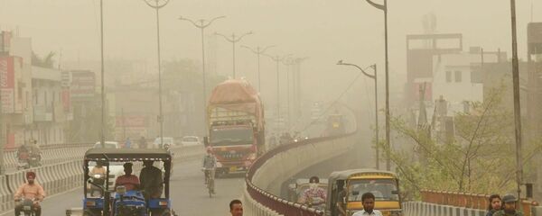 新德里 - 俄羅斯衛星通訊社