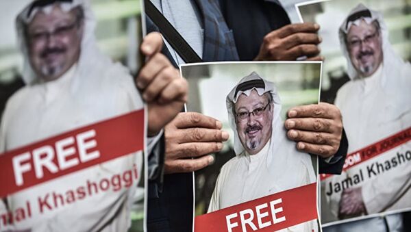 美沙元首就沙特记者失踪案进行讨论 - 俄罗斯卫星通讯社
