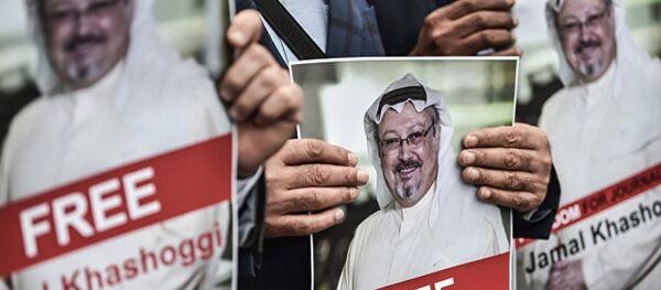 美沙元首就沙特记者失踪案进行讨论 美沙元首就沙特记者失踪案进行讨论 - 俄罗斯卫星通讯社