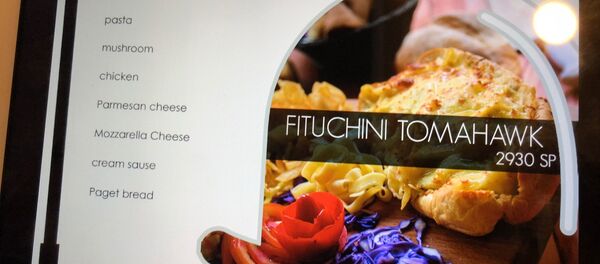 在大马士革可以品尝“S-300”意大利面 - 俄罗斯卫星通讯社