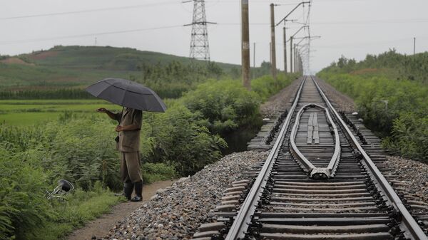 铁的保证：朝韩两国为何急于对接铁路 - 俄罗斯卫星通讯社