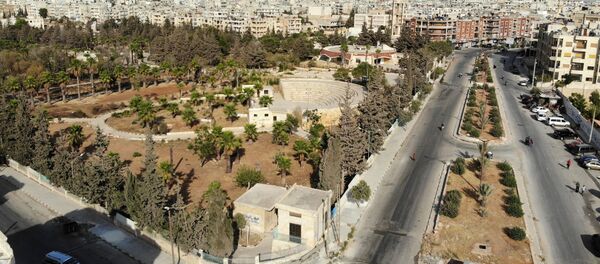 伊德利卜 - 俄罗斯卫星通讯社