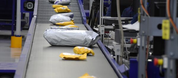 посылки - 俄罗斯卫星通讯社