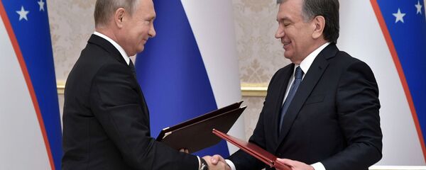 普京：俄与乌兹别克斯坦的合作计划金额仅在初期已达250亿美元 - 俄罗斯卫星通讯社