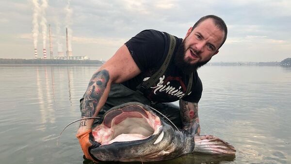 波蘭捕到重達100多公斤最大的鯰魚 - 俄羅斯衛星通訊社