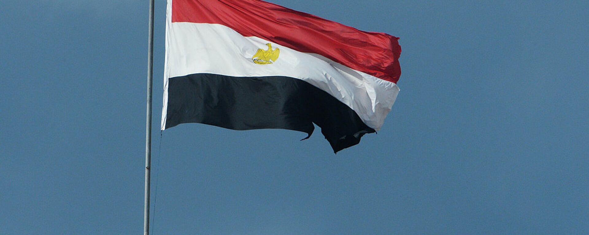 埃及国旗 - 俄罗斯卫星通讯社, 1920, 14.02.2024