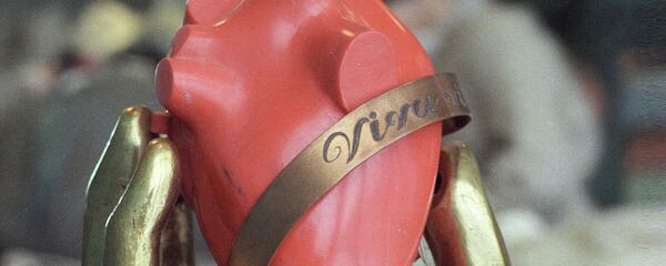 人心脏模型 人心脏模型 - 俄罗斯卫星通讯社