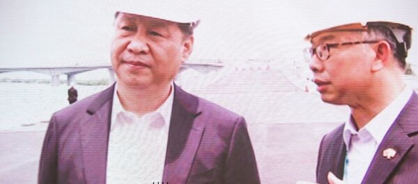 港珠澳大橋開通儀式 - 俄羅斯衛星通訊社