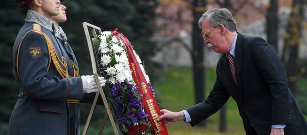 普京和博尔顿将讨论战略安全及双边关系问题 - 俄罗斯卫星通讯社