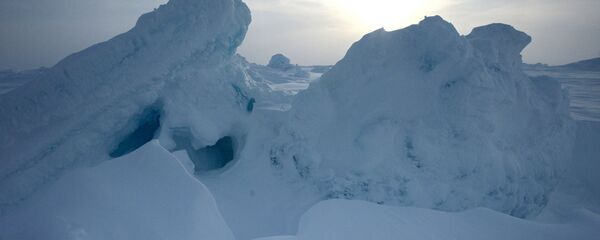俄中两国高校成立中国环境科学学会极地环境与生态专业委员会 - 俄罗斯卫星通讯社