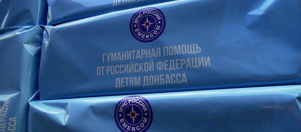 人道物資 - 俄羅斯衛星通訊社