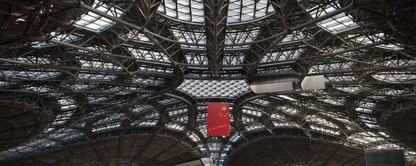 北京大興國際機場 - 俄羅斯衛星通訊社