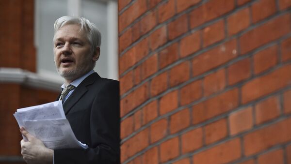 Сооснователь WikiLeaks Джулиан Ассанж - 俄罗斯卫星通讯社