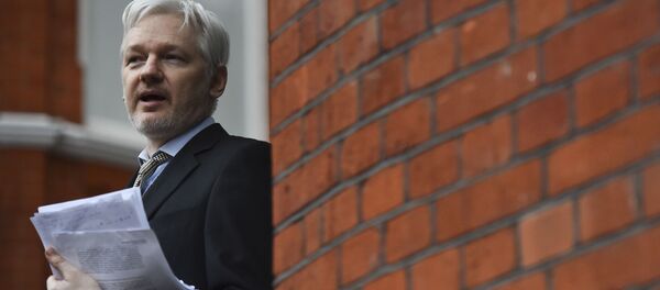 厄瓜多尔外长在推特上否认驱逐阿桑奇的谣言 但后来删除消息 - 俄罗斯卫星通讯社