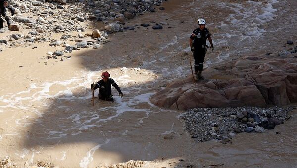 媒體：約旦結束在死海地區對泥石流失蹤者的搜救行動 - 俄羅斯衛星通訊社